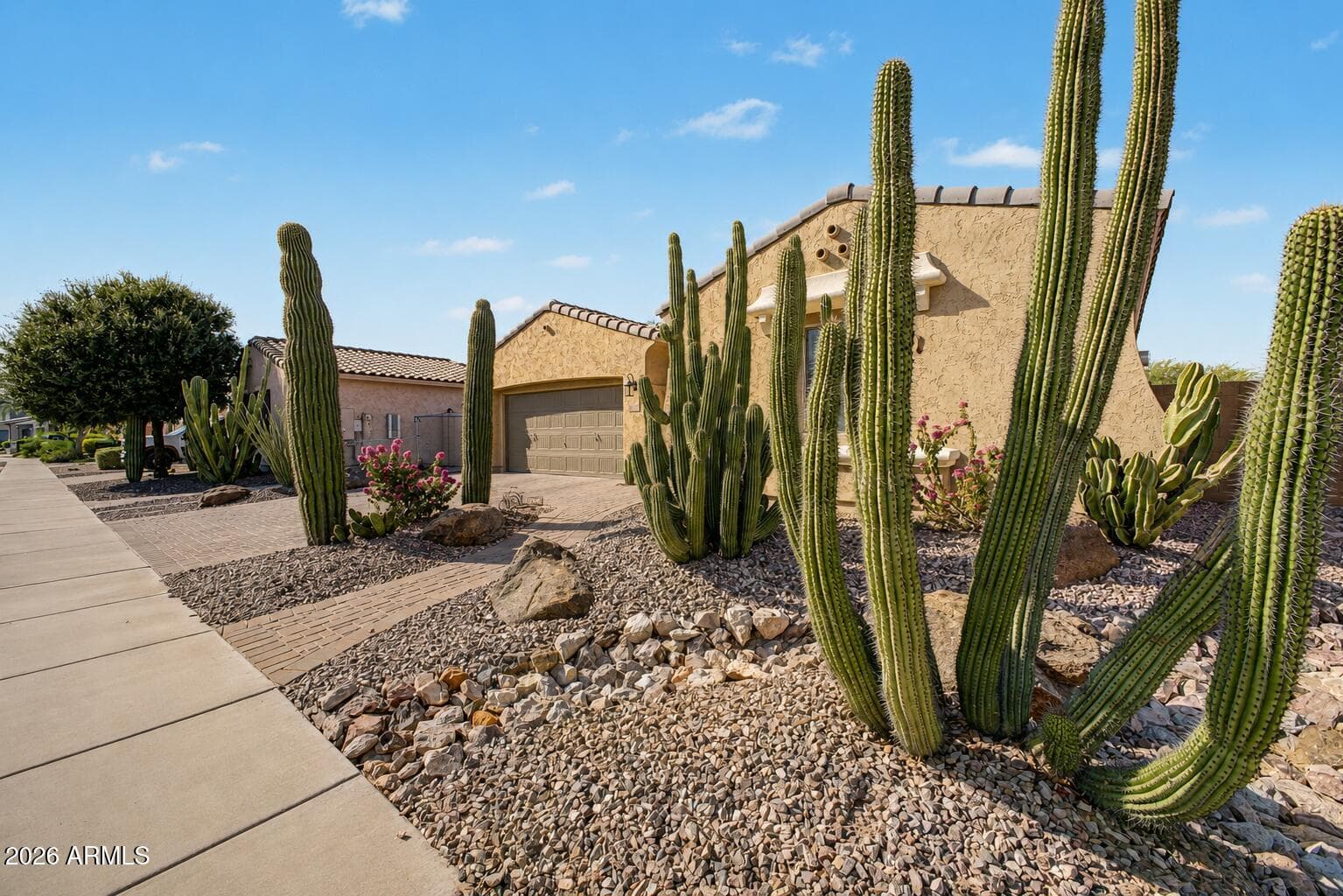 14398 W Almeria Road, Goodyear, AZ 85395 — photo 49 of 49