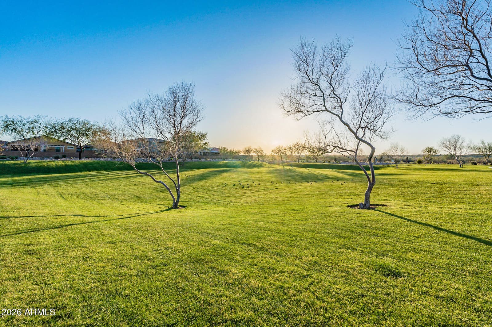 9998 W White Feather Lane, Peoria, AZ 85383 — photo 91 of 111