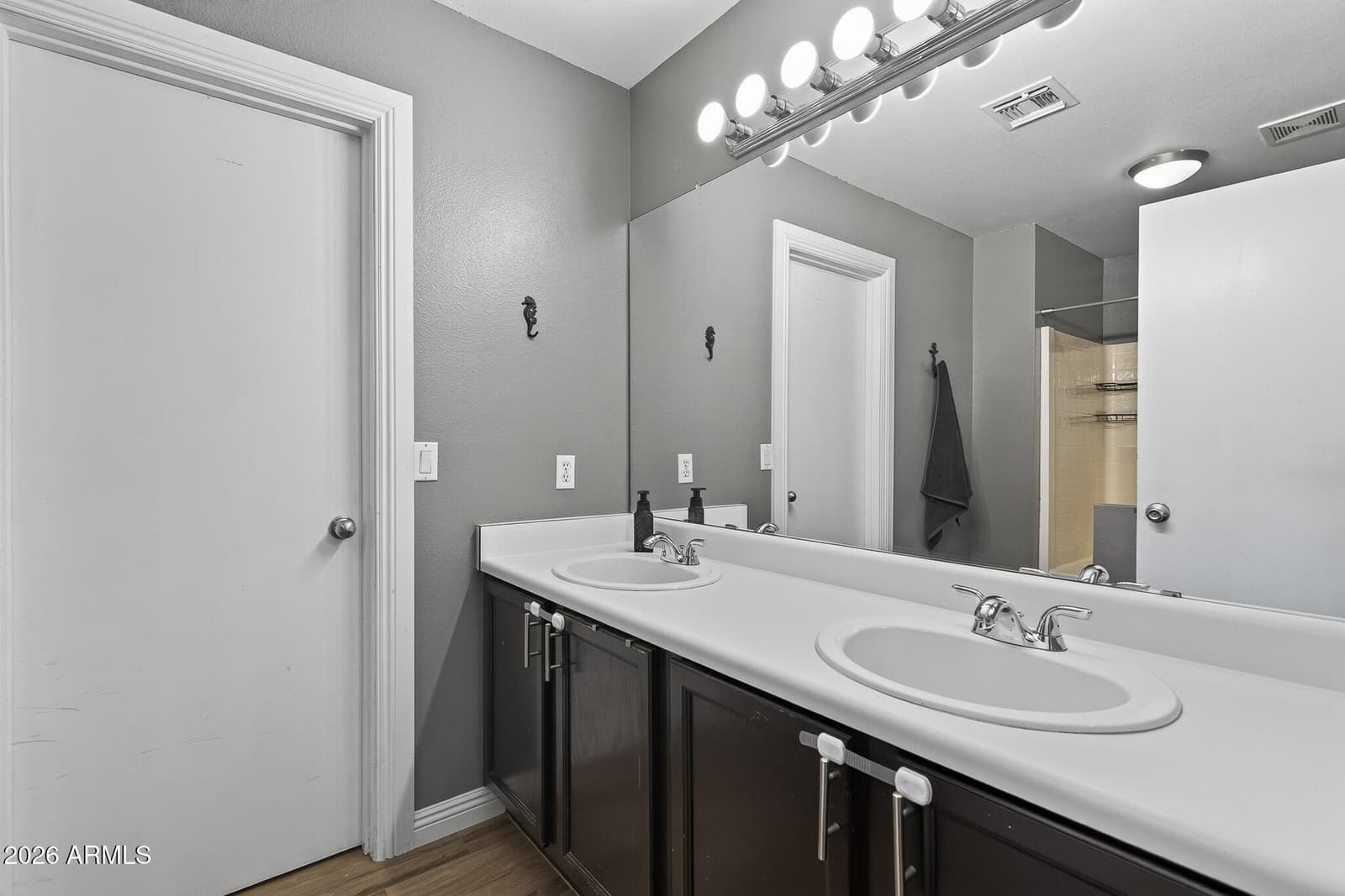 16539 N 114th Drive, Surprise, AZ 85378 — photo 13 of 27