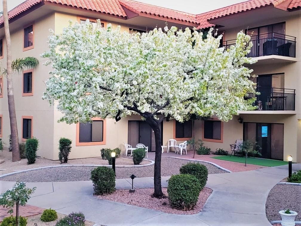 10330 W Thunderbird Boulevard A131, Sun City, AZ 85351 — photo 16 of 25