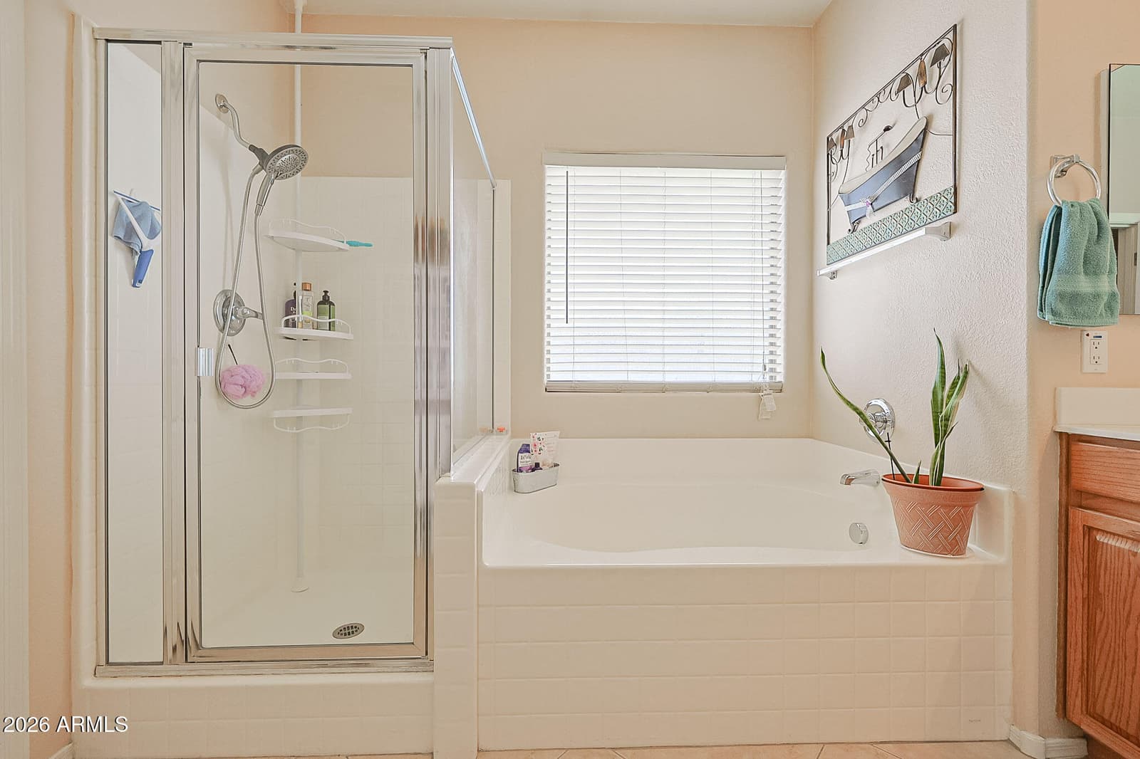 15933 W Mauna Loa Lane, Surprise, AZ 85379 — photo 25 of 37