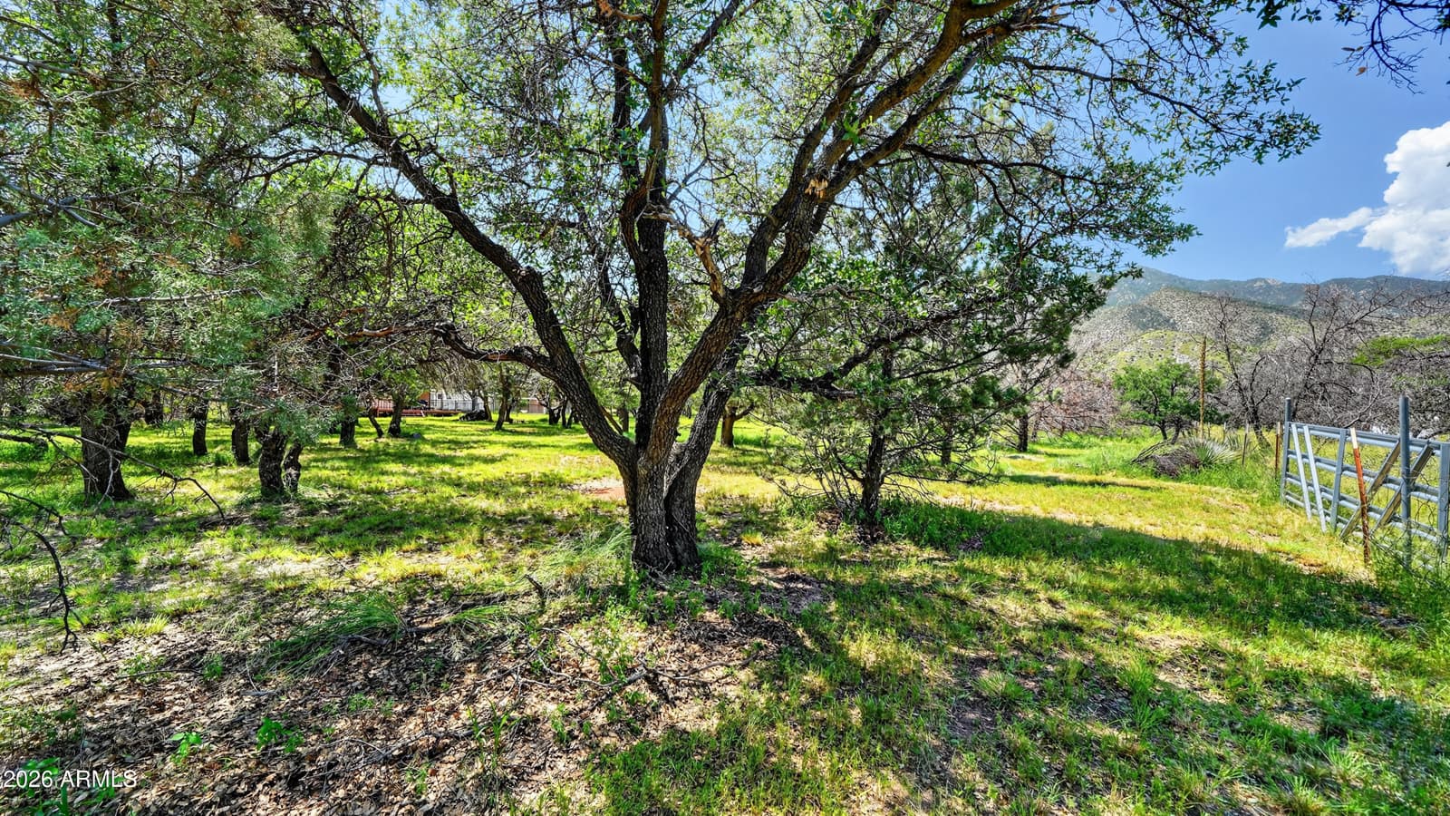 5335 E Brushy Oak Lane, Hereford, AZ 85615 — photo 48 of 57