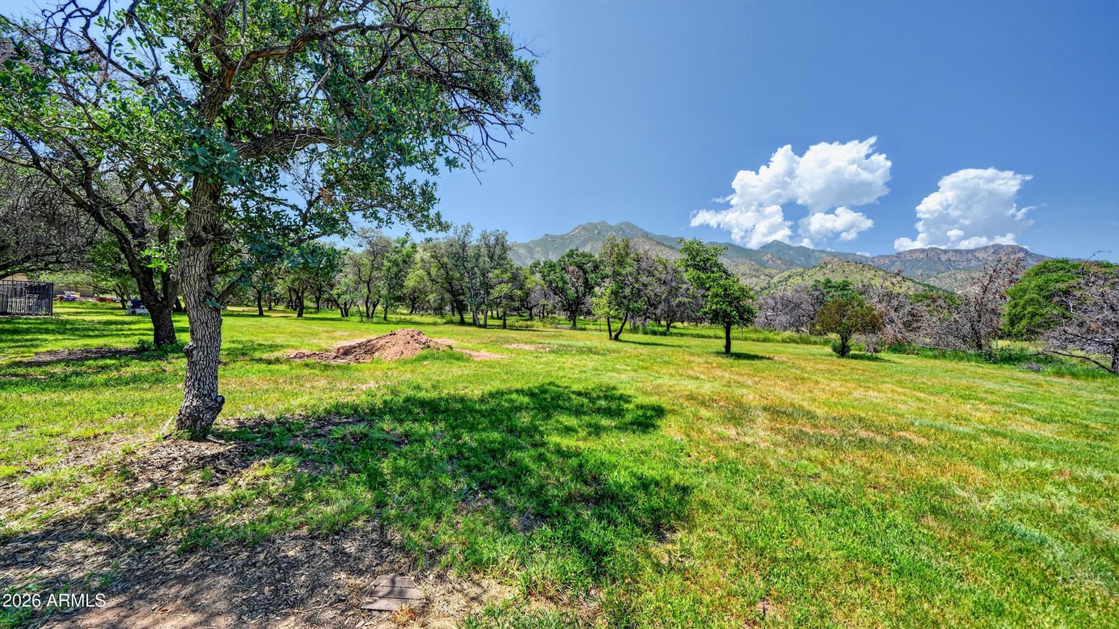 5335 E Brushy Oak Lane, Hereford, AZ 85615 — photo 49 of 57