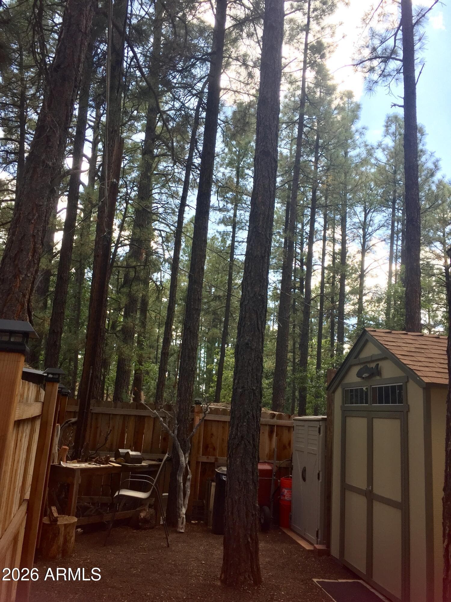 261 N Powder Horn Lane, Lakeside, AZ 85929 — photo 19 of 23