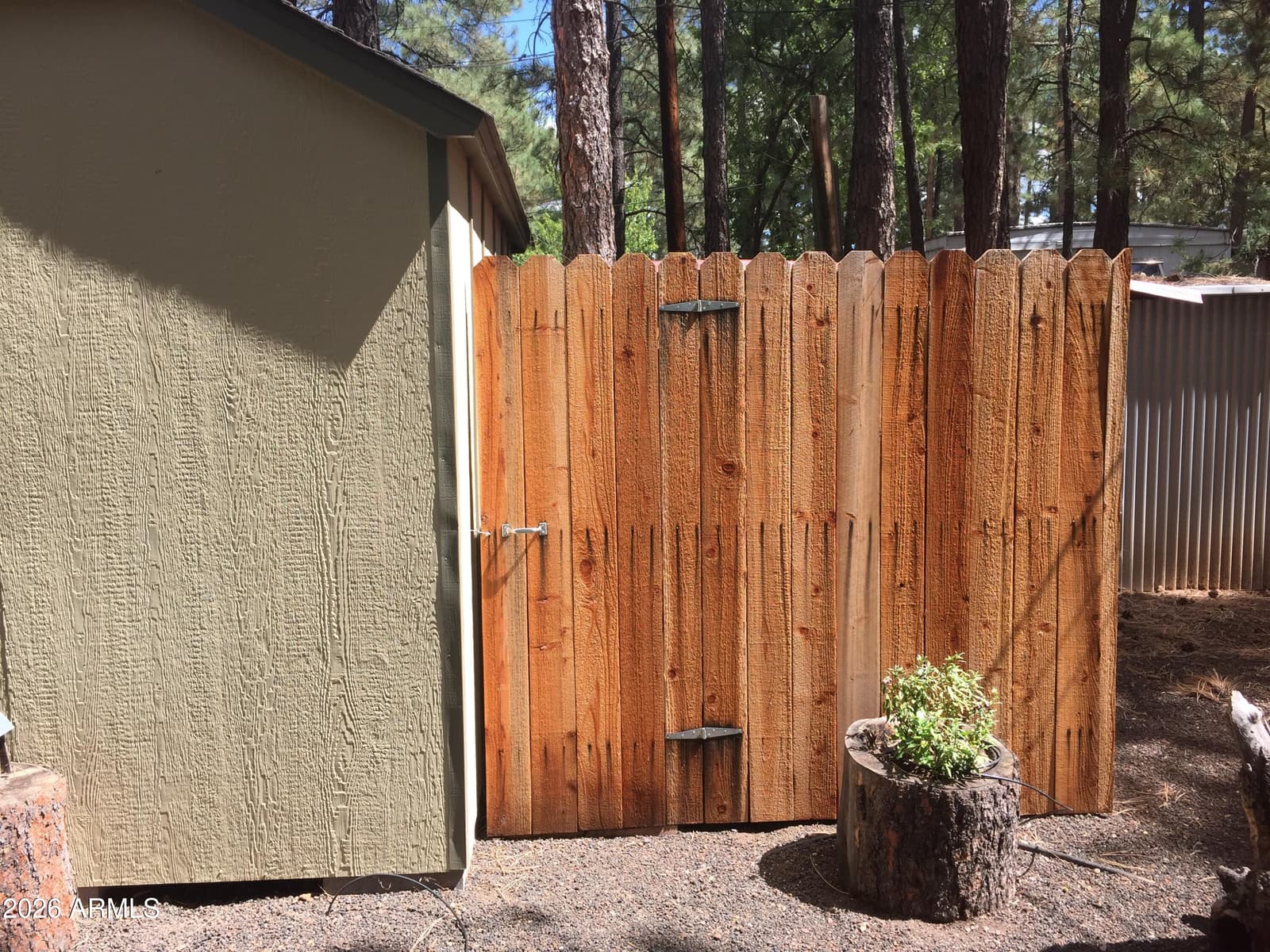 261 N Powder Horn Lane, Lakeside, AZ 85929 — photo 21 of 23