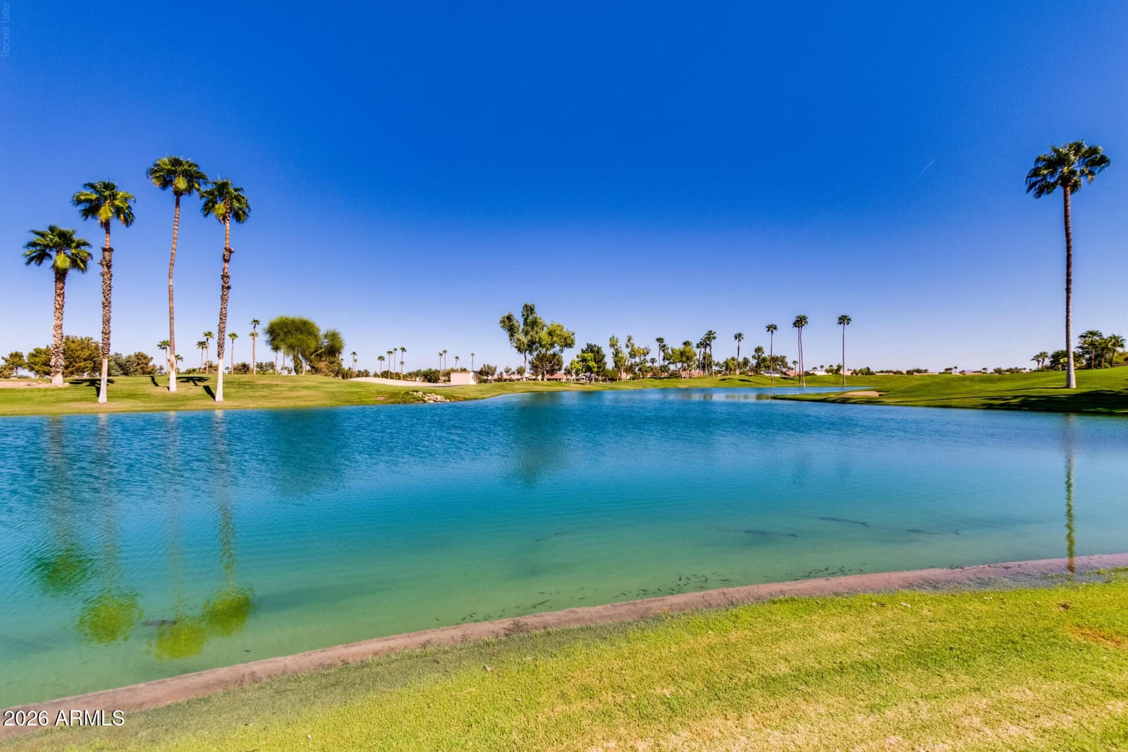 15023 W Verde Lane, Goodyear, AZ 85395 — photo 46 of 62