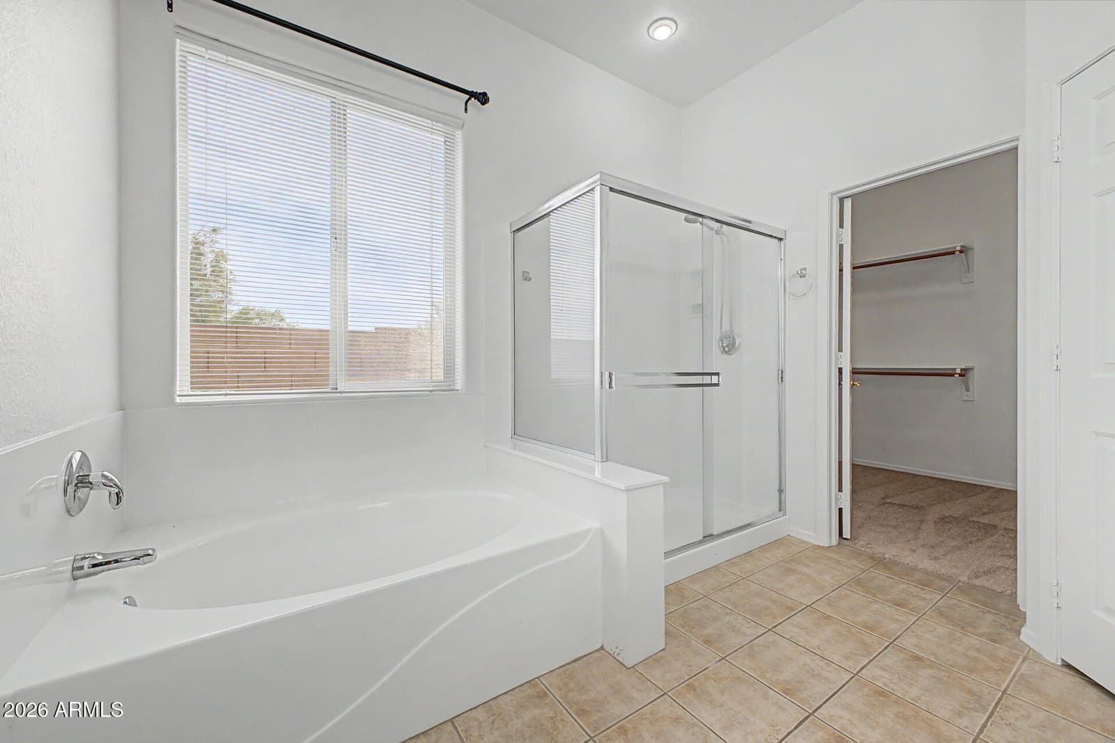 8177 S Bull Dog Court, Gold Canyon, AZ 85118 — photo 19 of 54