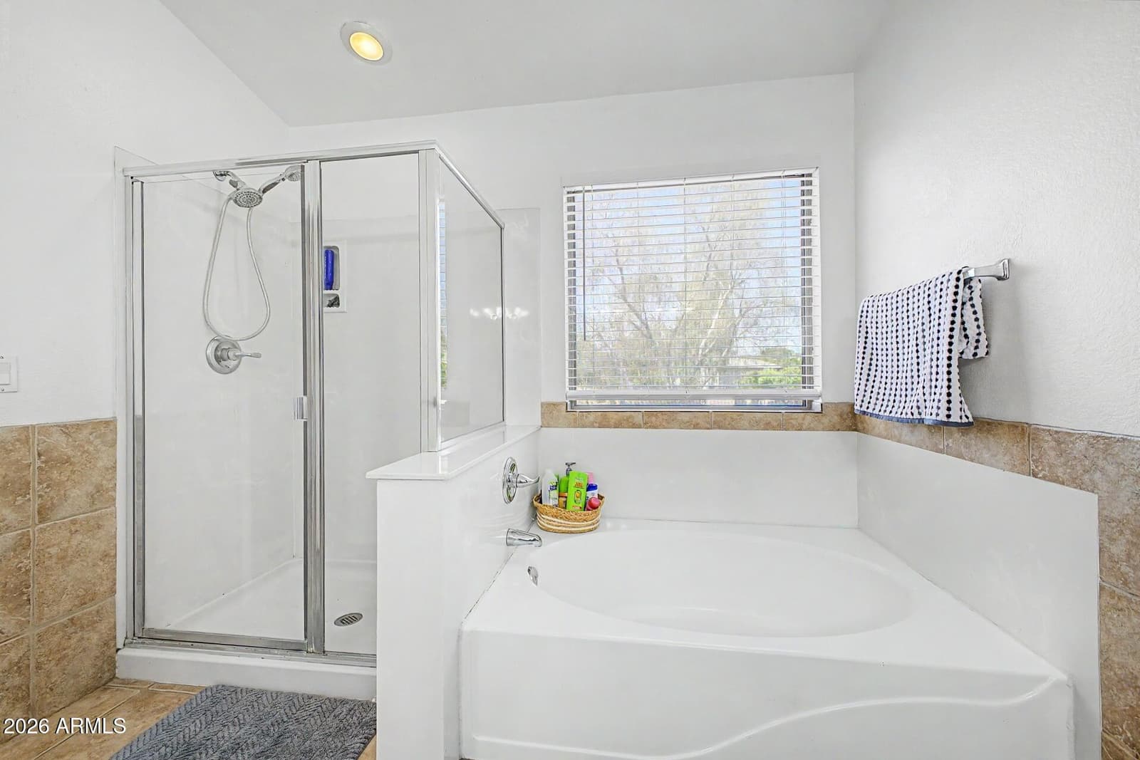 8672 W Adam Avenue, Peoria, AZ 85382 — photo 13 of 26
