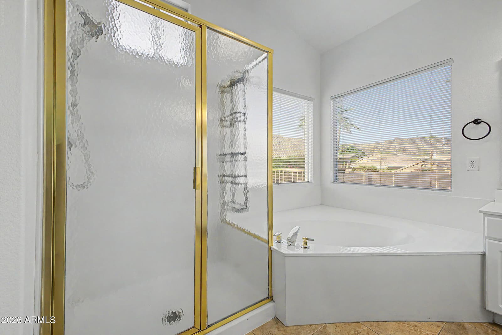 768 E Verbena Drive, Phoenix, AZ 85048 — photo 44 of 66
