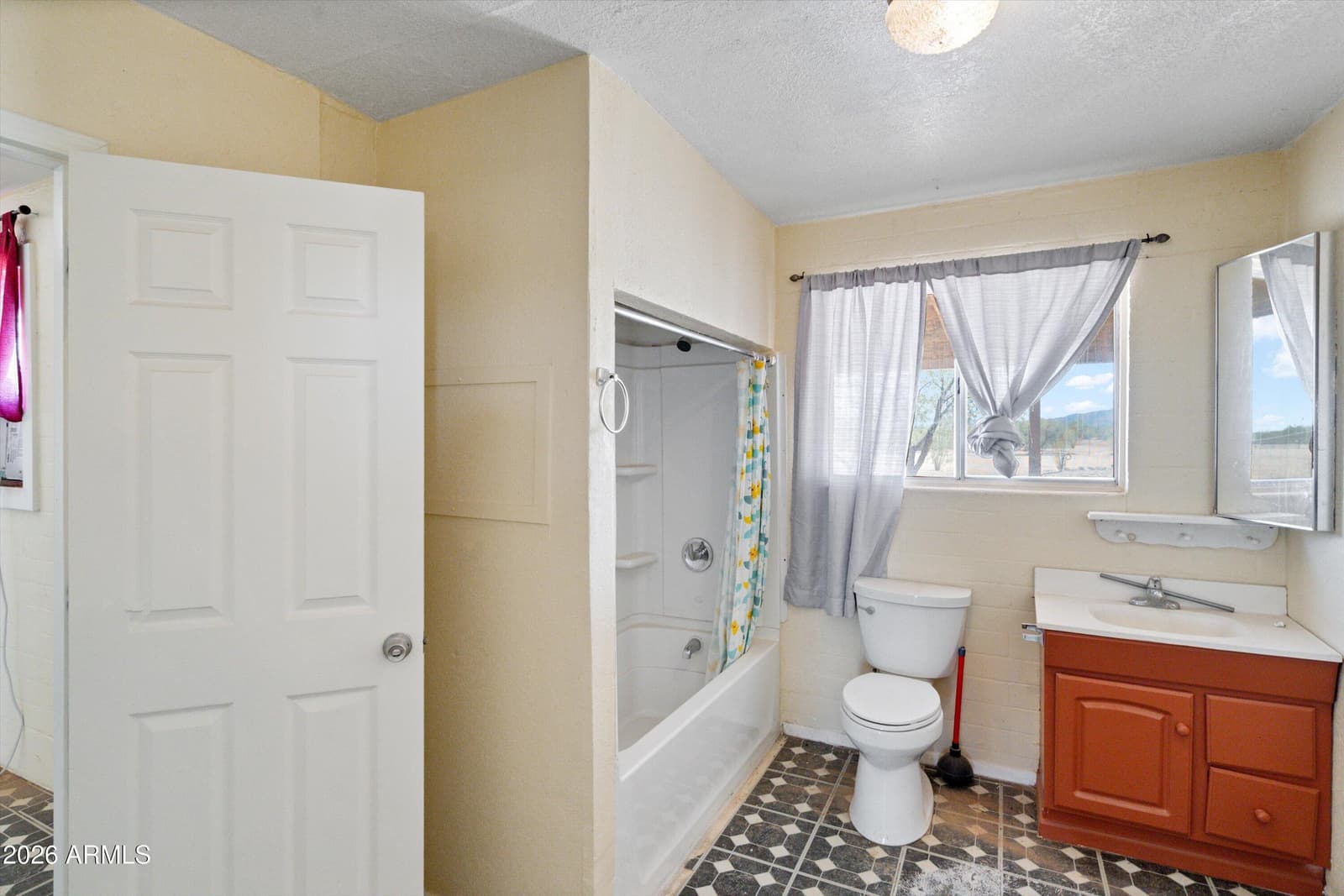 27439 S 170th Avenue, Buckeye, AZ 85326 — photo 37 of 53