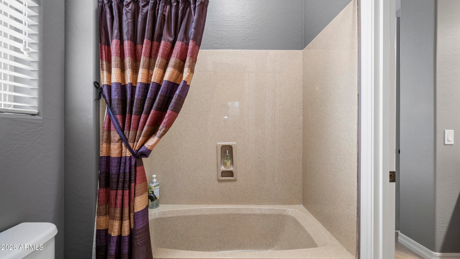 2442 E Plum Street, Gilbert, AZ 85298 — photo 46 of 60