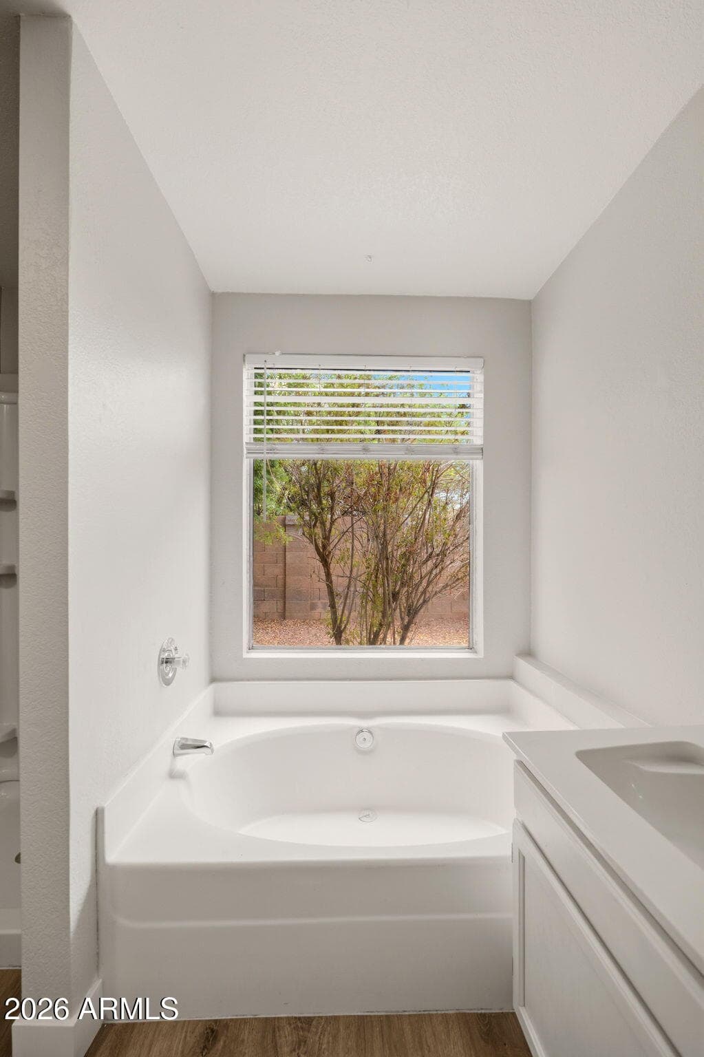 15033 W Heritage Oak Way, Surprise, AZ 85374 — photo 27 of 42