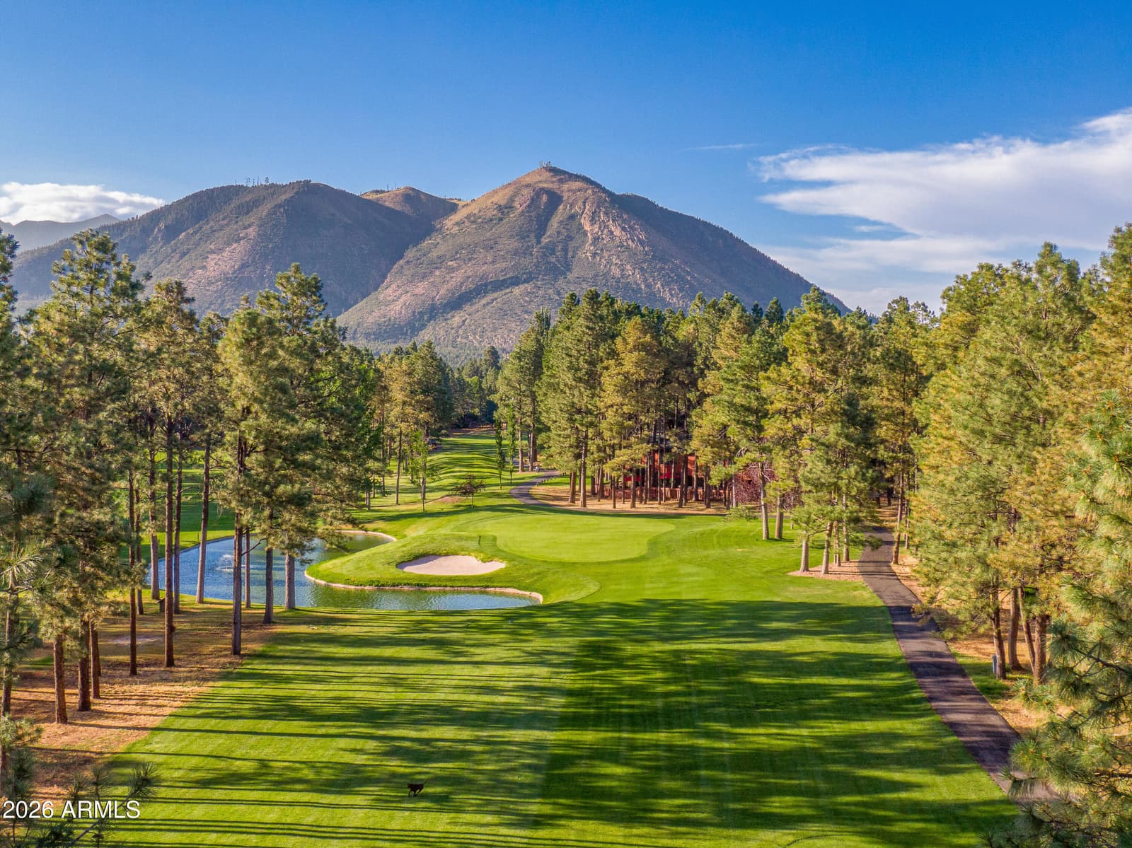 5801 E Ridge Drive, Flagstaff, AZ 86004 — photo 12 of 31