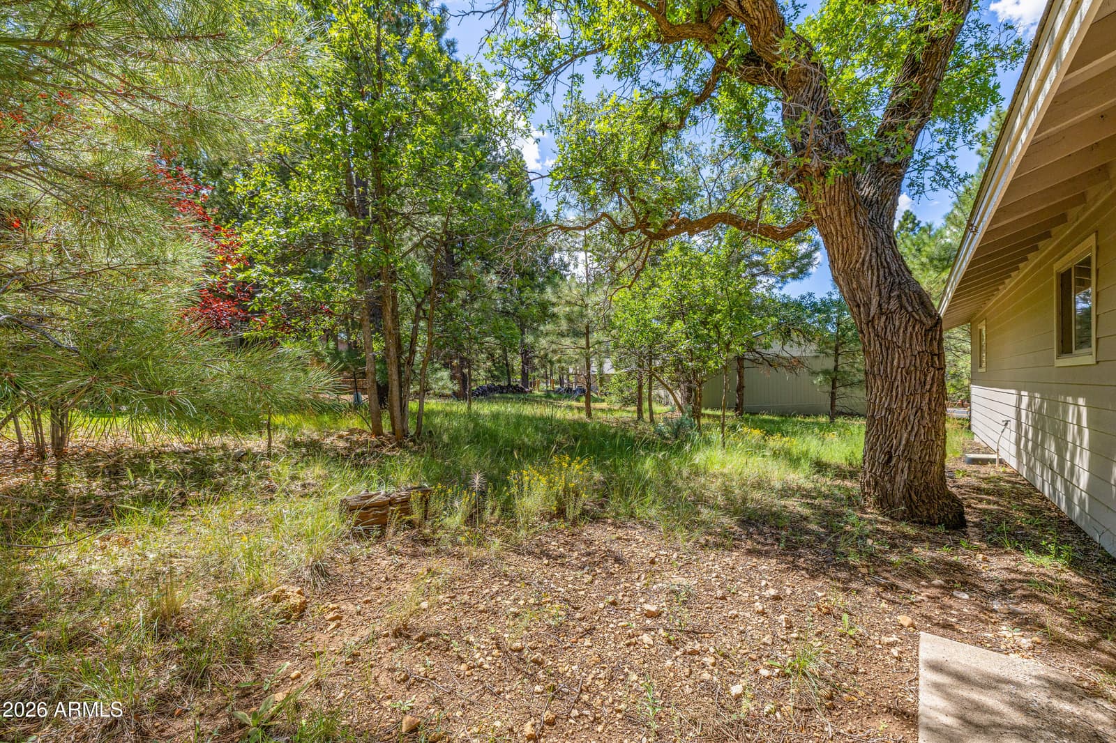 5801 E Ridge Drive, Flagstaff, AZ 86004 — photo 10 of 31