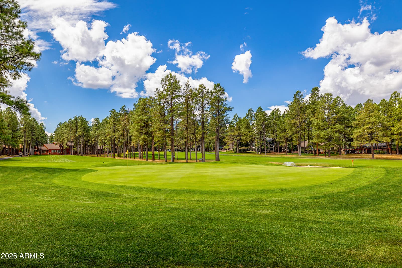 5801 E Ridge Drive, Flagstaff, AZ 86004 — photo 25 of 31