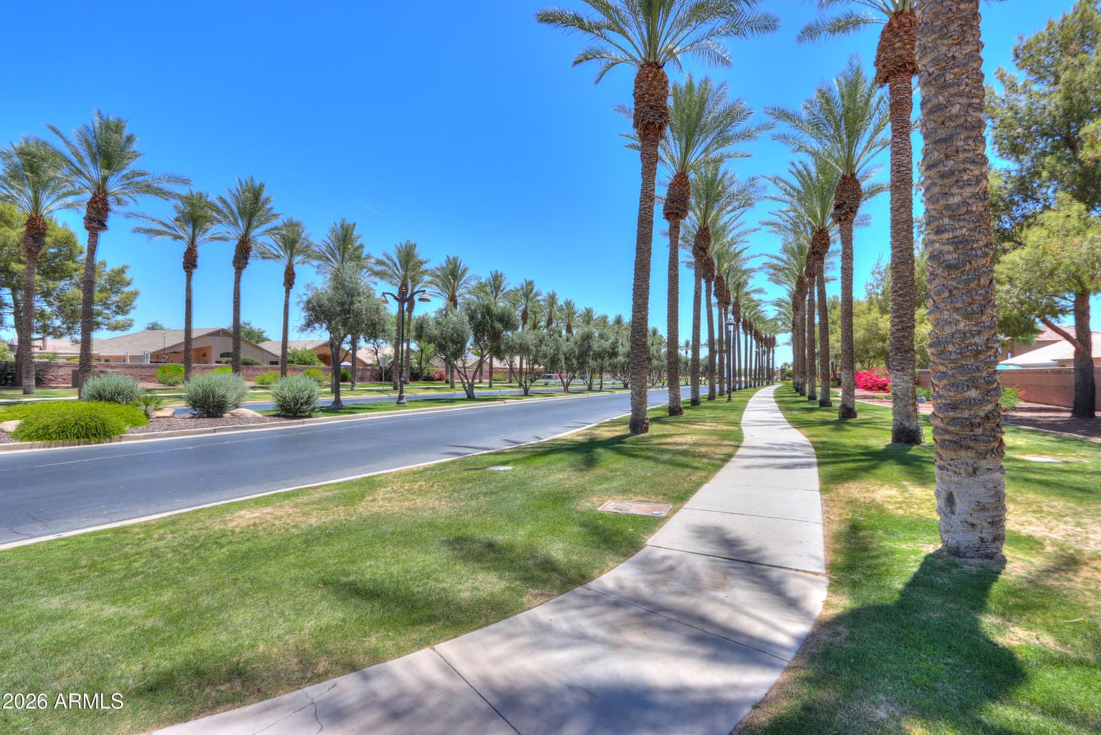 43415 W Sunland Drive, Maricopa, AZ 85138 — photo 56 of 58
