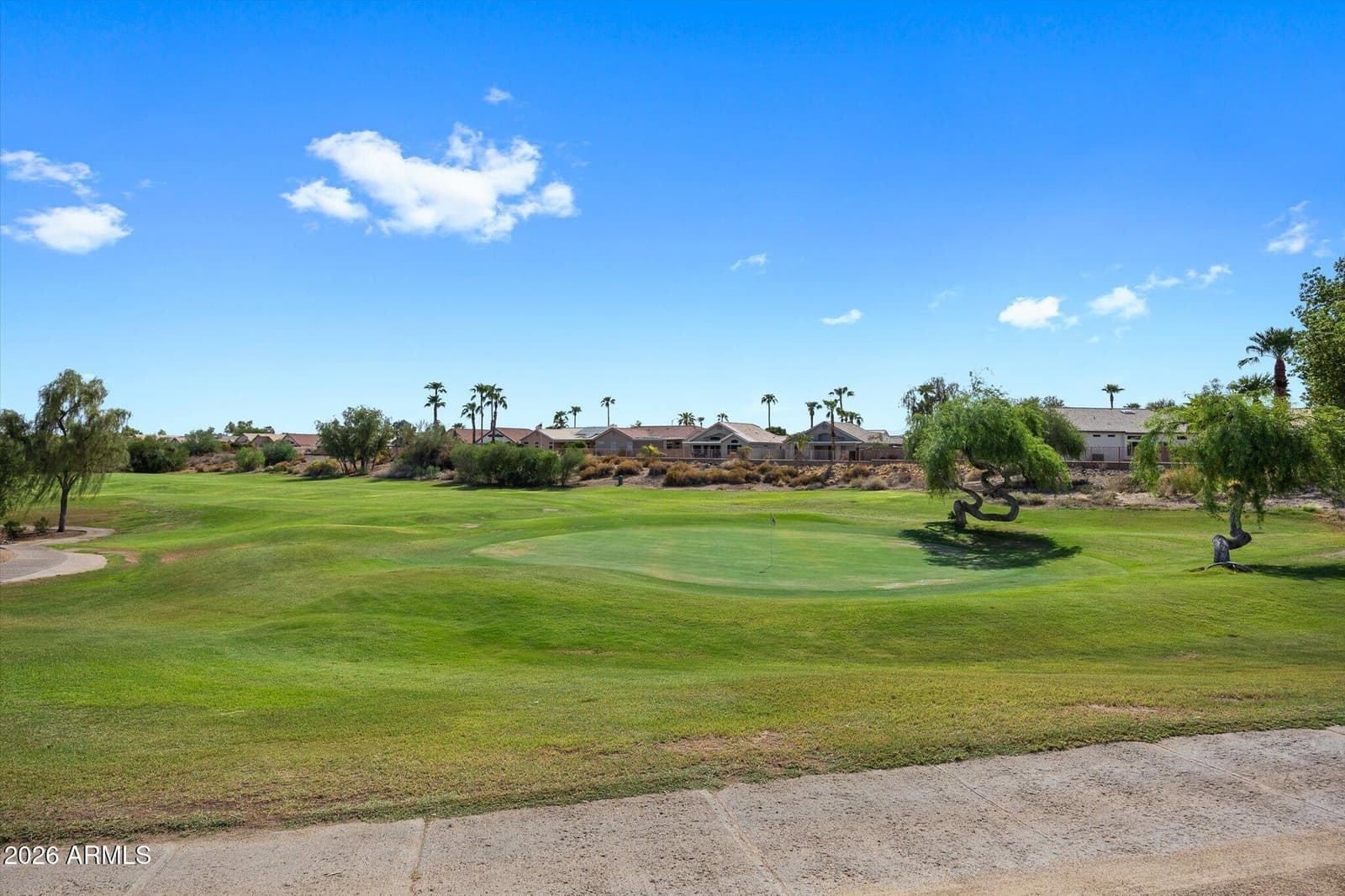 19270 N 116th Lane, Surprise, AZ 85378 — photo 28 of 41