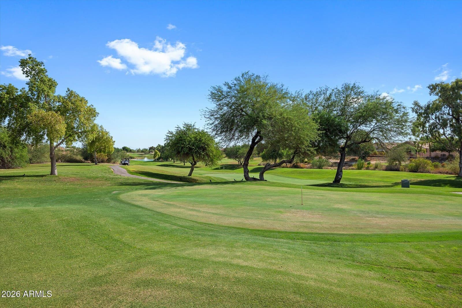 19270 N 116th Lane, Surprise, AZ 85378 — photo 40 of 41