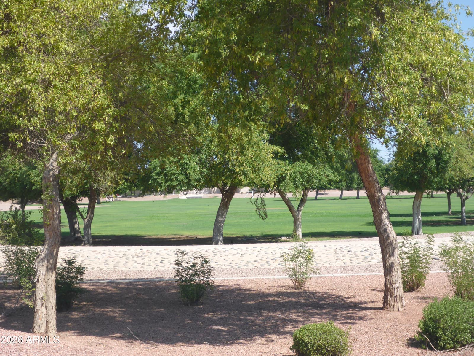 11294 W Del Rio Lane, Avondale, AZ 85323 — photo 55 of 61