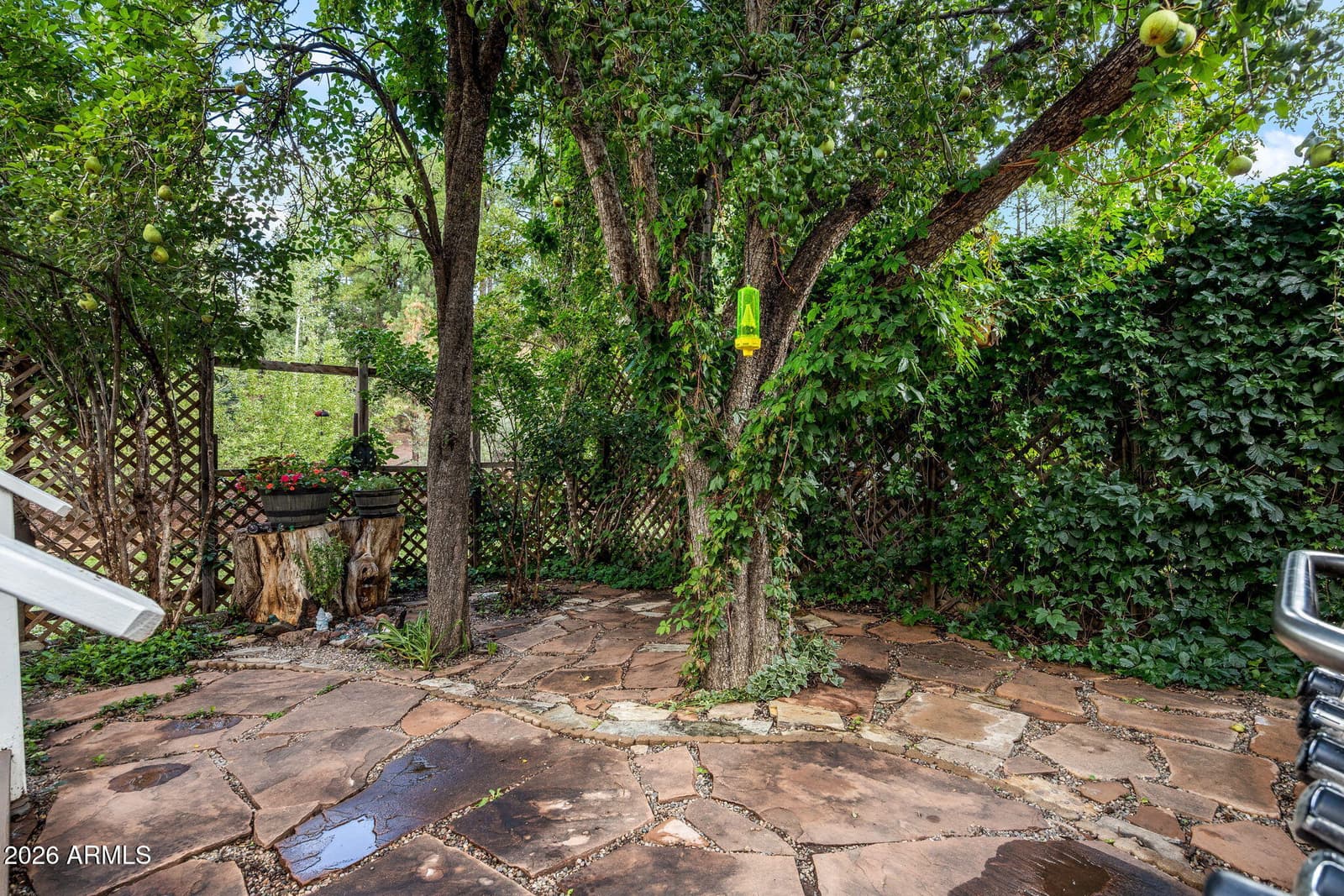344 W Pima Lane, Lakeside, AZ 85929 — photo 22 of 54