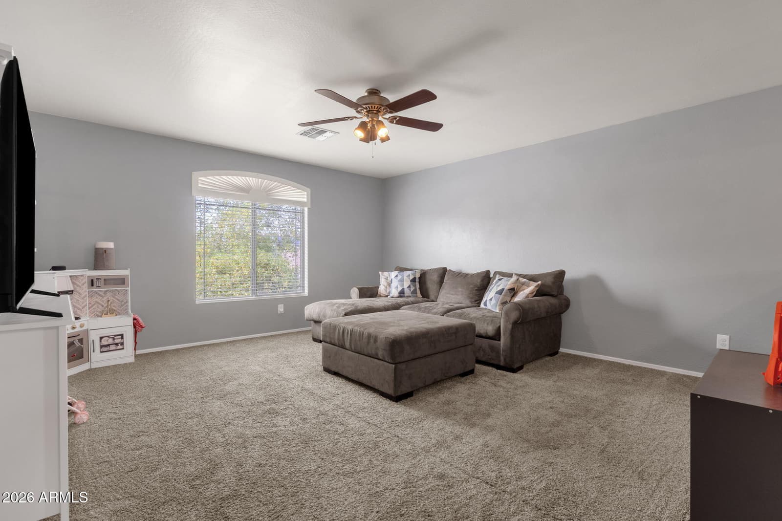 23931 W Chambers Street, Buckeye, AZ 85326 — photo 31 of 49
