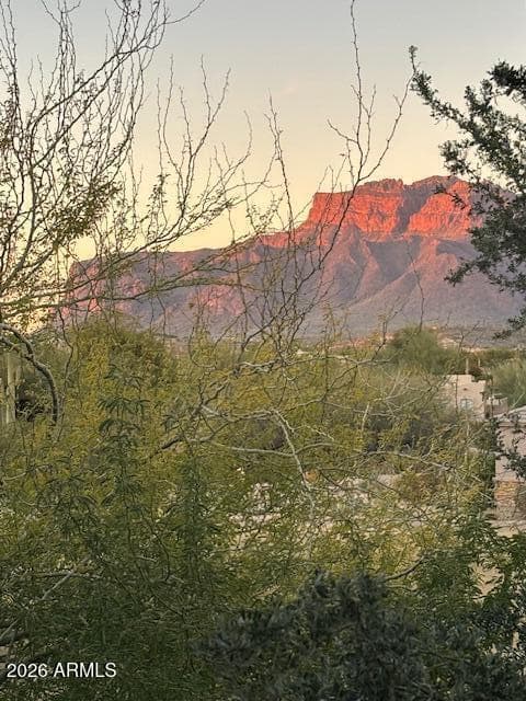 5273 S Overlook Trail, Gold Canyon, AZ 85118 — photo 64 of 69