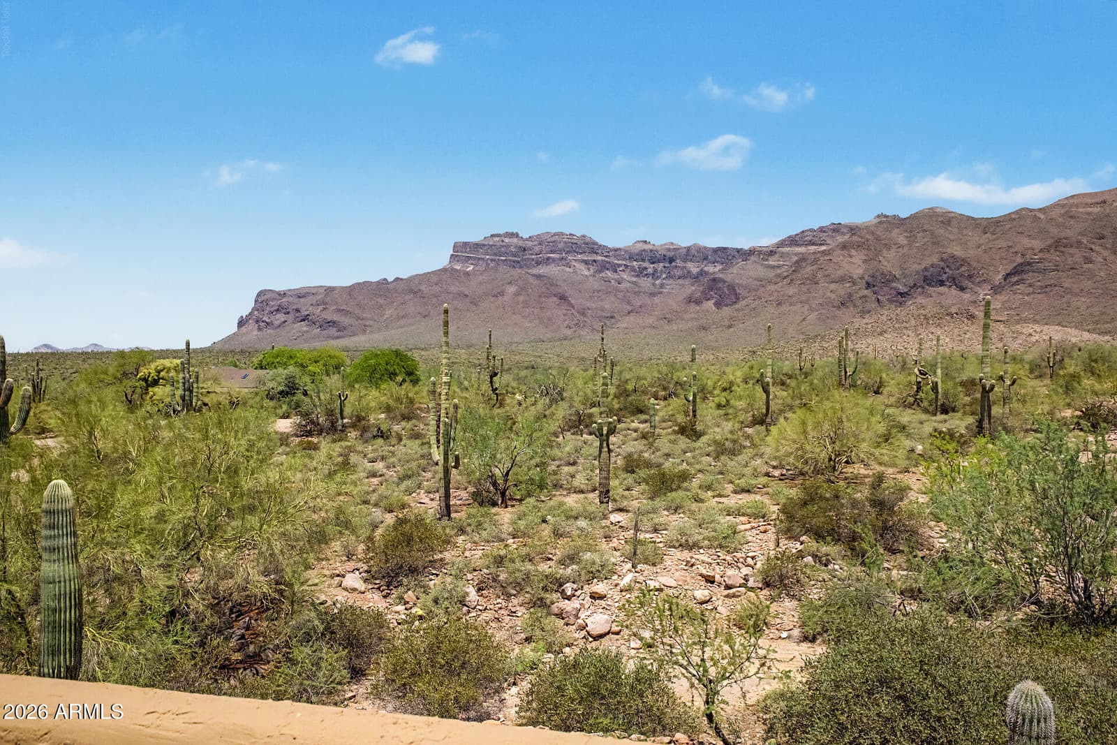 10196 E Open Sky Drive, Gold Canyon, AZ 85118 — photo 51 of 85