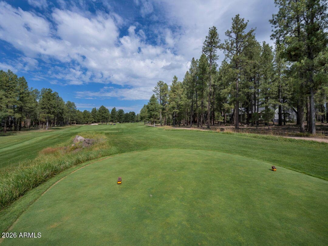 2563 Hart Merriam, Flagstaff, AZ 86005 — photo 44 of 93
