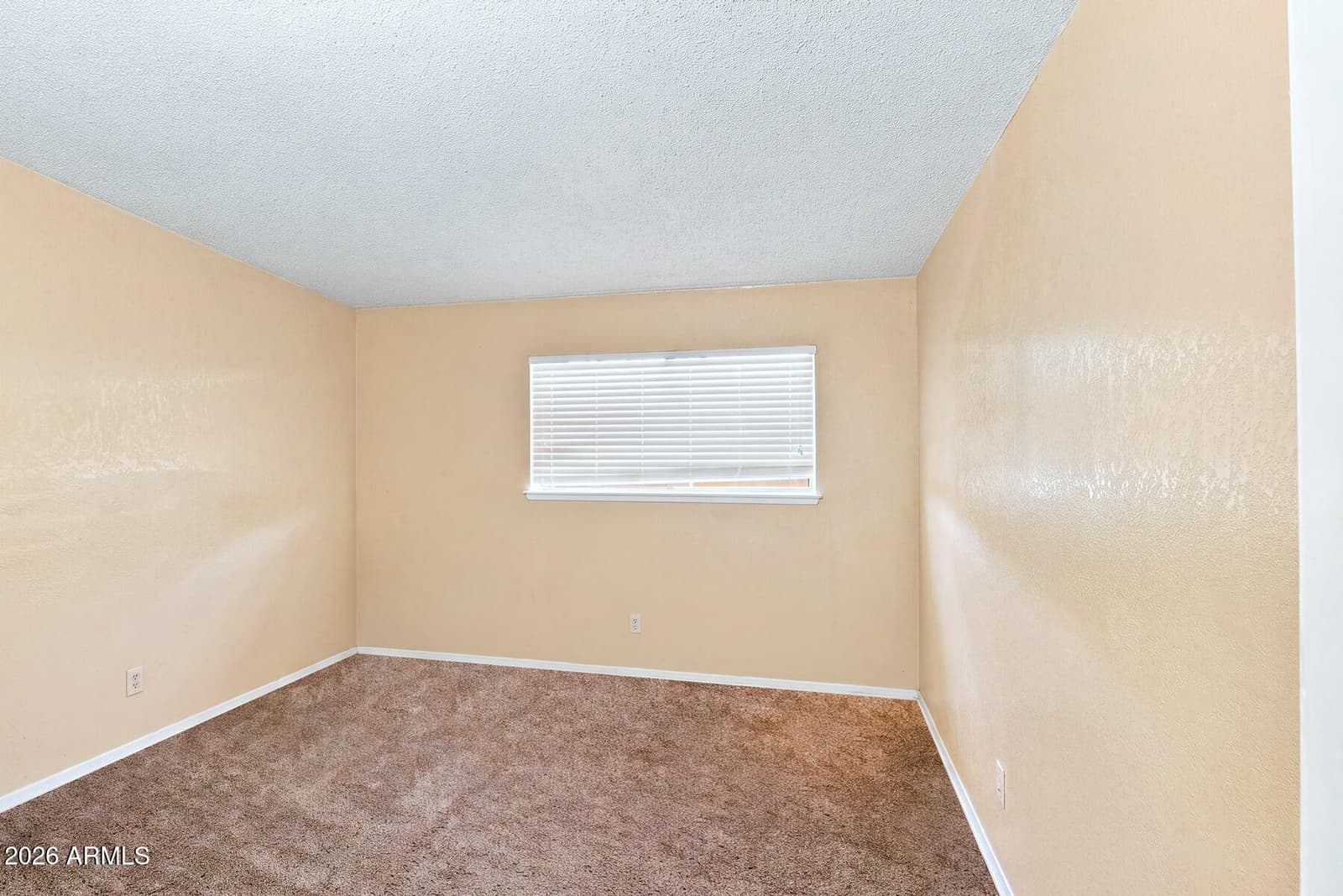 1109 E Mesquite Drive, Sierra Vista, AZ 85635 — photo 21 of 29
