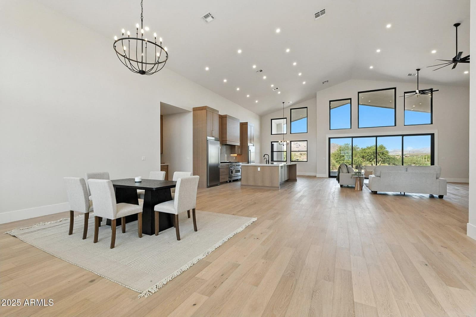 4009 S Veronica Lane, Gold Canyon, AZ 85118 — photo 1 of 132