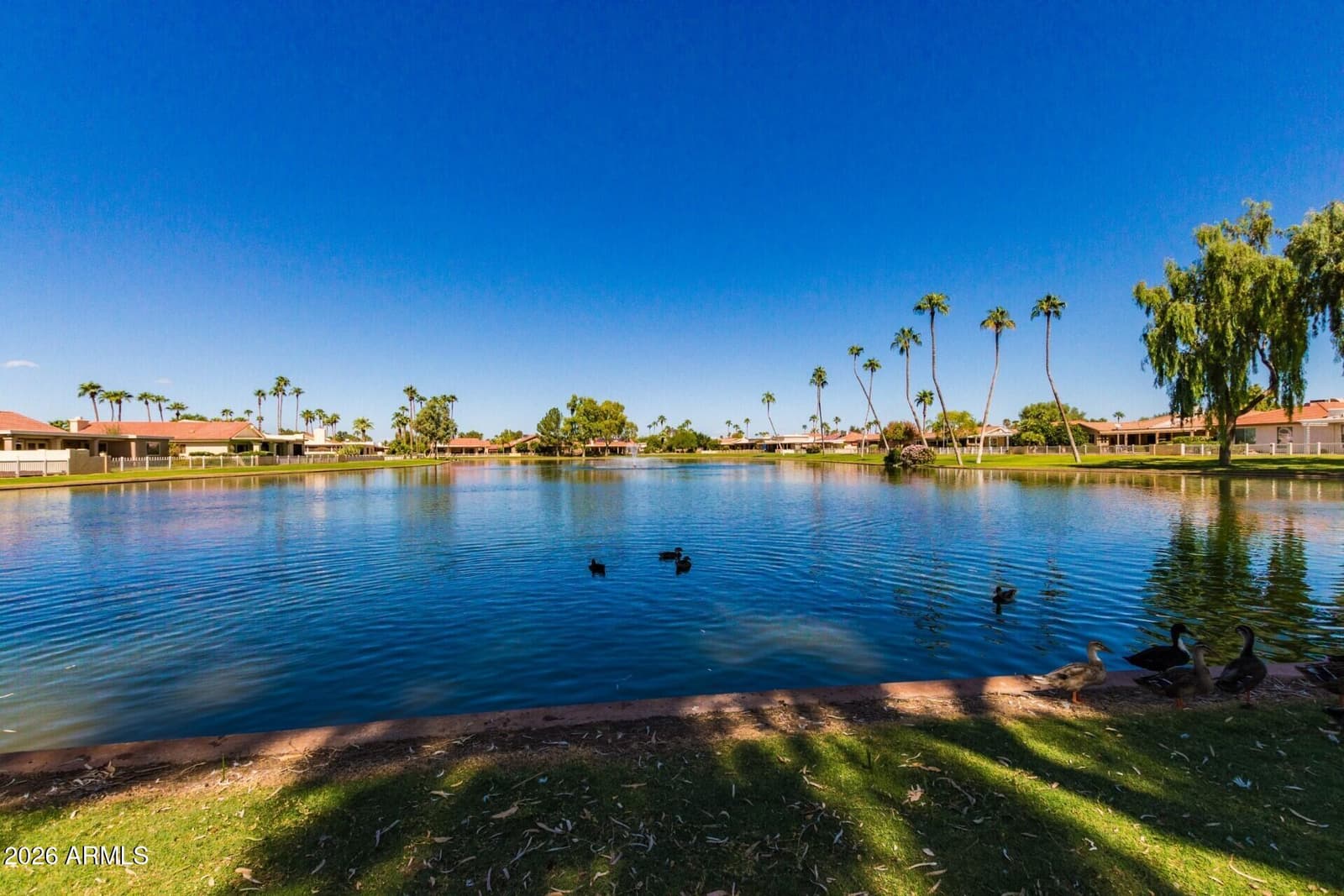 25861 S New Town Drive, Sun Lakes, AZ 85248 — photo 36 of 39