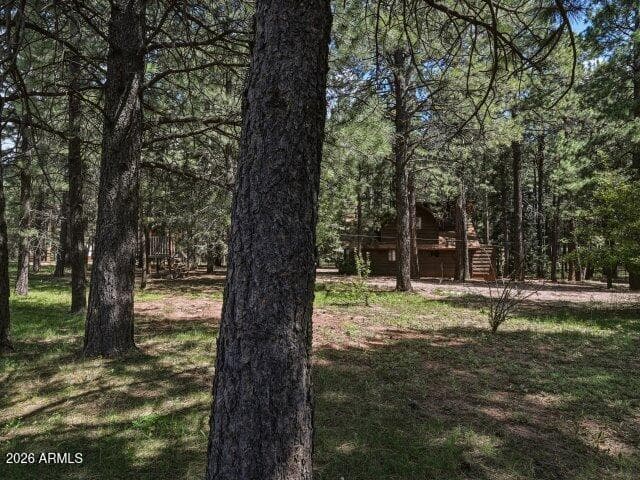 1640 Sheep Springs Road, Forest Lakes, AZ 85931 — photo 37 of 47