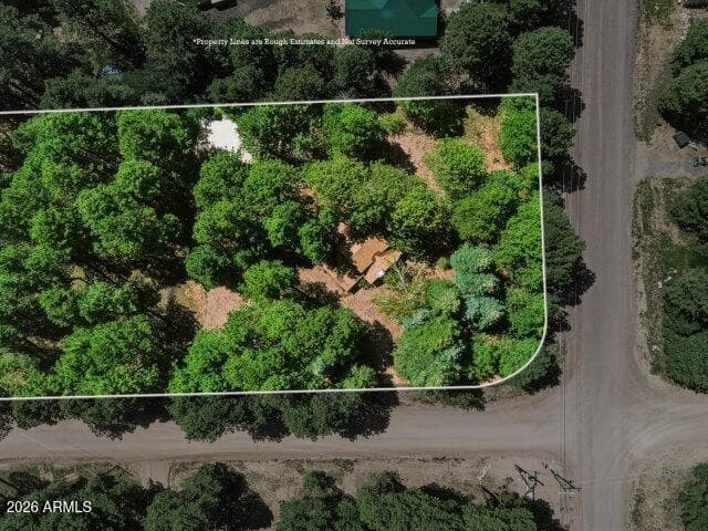 1640 Sheep Springs Road, Forest Lakes, AZ 85931 — photo 39 of 47