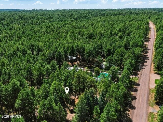1640 Sheep Springs Road, Forest Lakes, AZ 85931 — photo 40 of 47