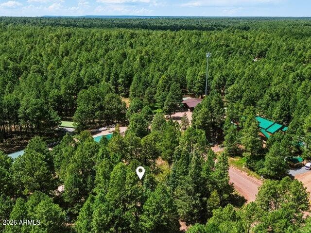 1640 Sheep Springs Road, Forest Lakes, AZ 85931 — photo 41 of 47