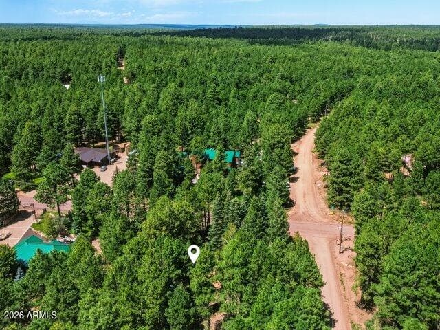 1640 Sheep Springs Road, Forest Lakes, AZ 85931 — photo 42 of 47