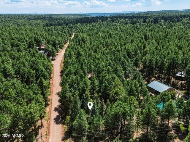 1640 Sheep Springs Road, Forest Lakes, AZ 85931 — photo 46 of 47
