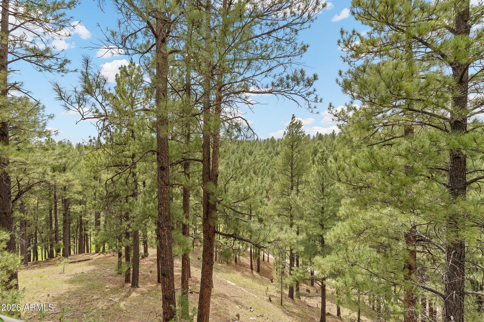 2354 Link Smith, Flagstaff, AZ 86005 — photo 48 of 55