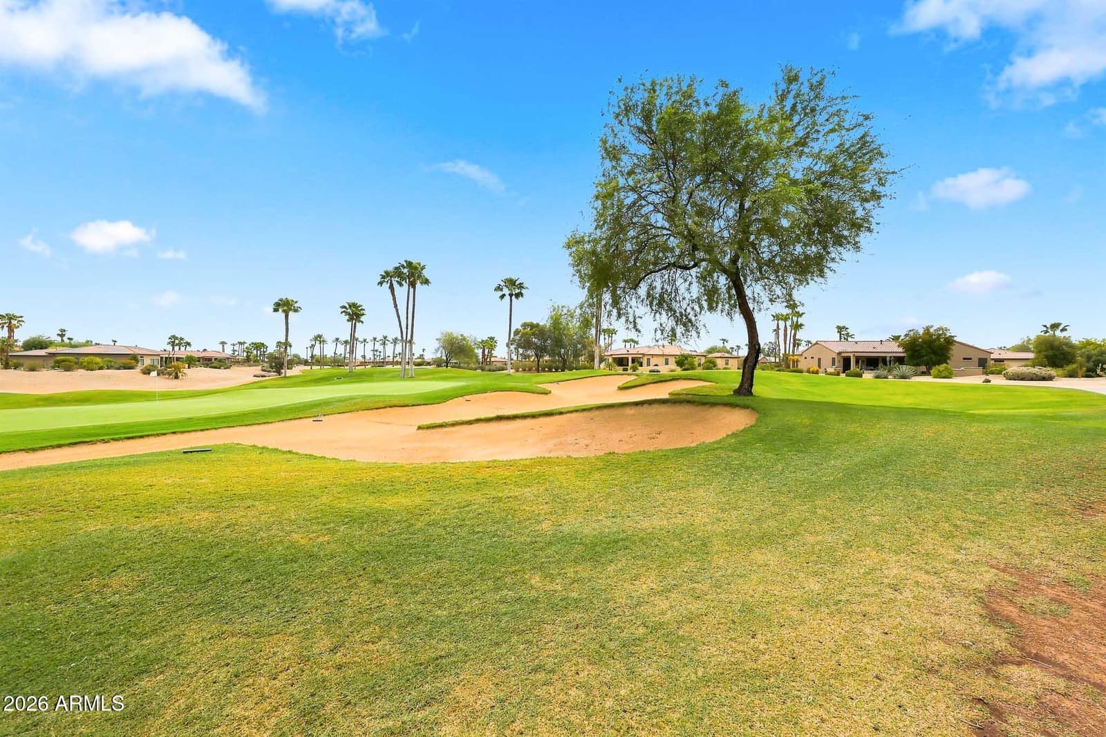 18757 N Avila Drive N, Surprise, AZ 85387 — photo 43 of 53