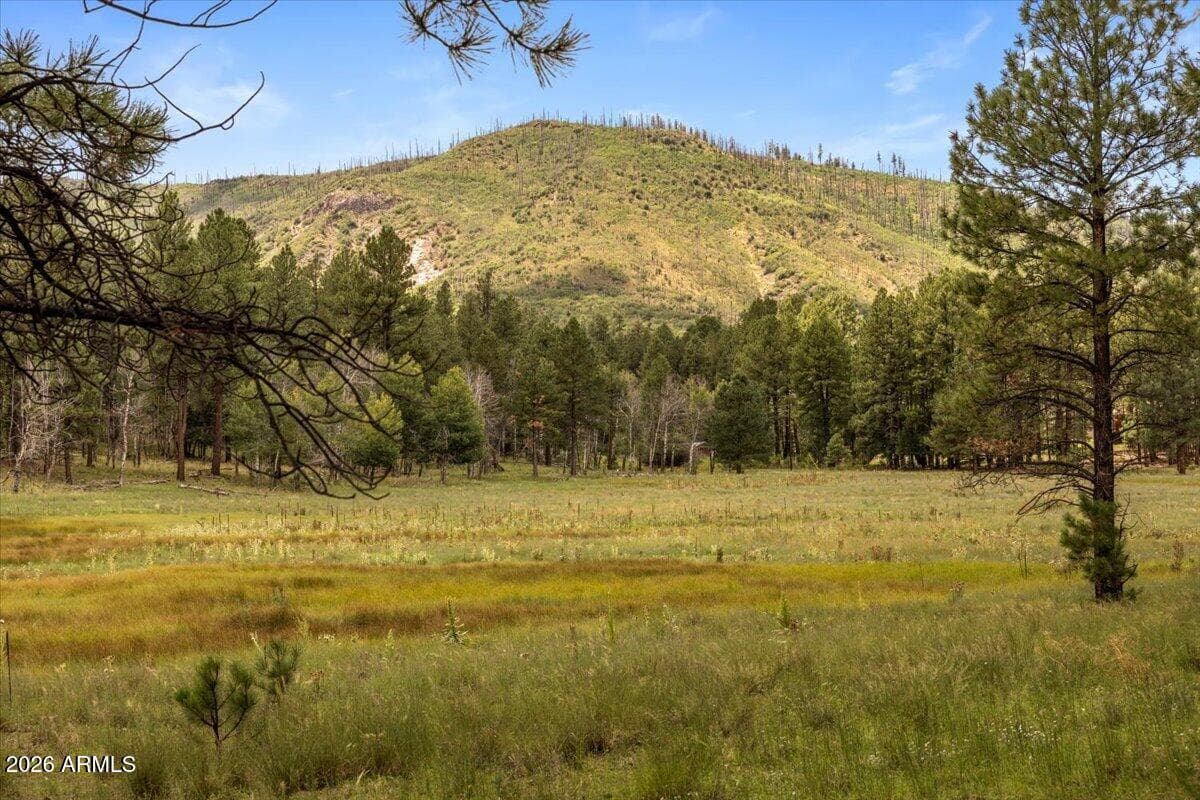 16 County Road 2271, Alpine, AZ 85920 — photo 15 of 62