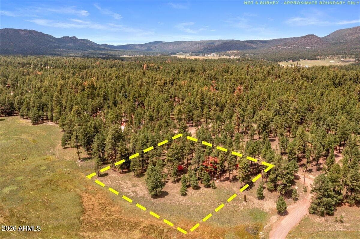 16 County Road 2271, Alpine, AZ 85920 — photo 60 of 62