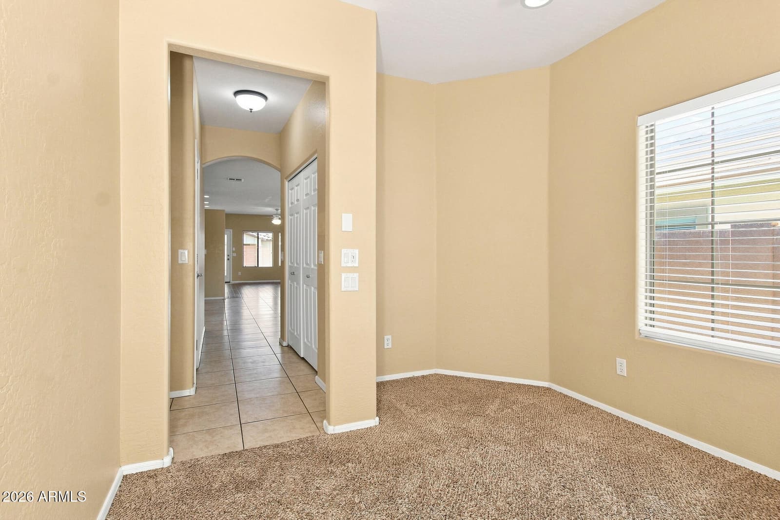 10233 W Parkway Drive, Tolleson, AZ 85353 — photo 18 of 21