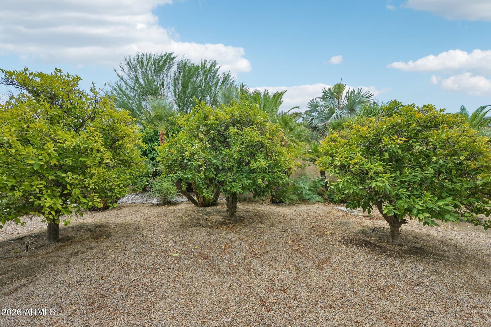 12909 W Pontiac Drive, Sun City West, AZ 85375 — photo 24 of 24