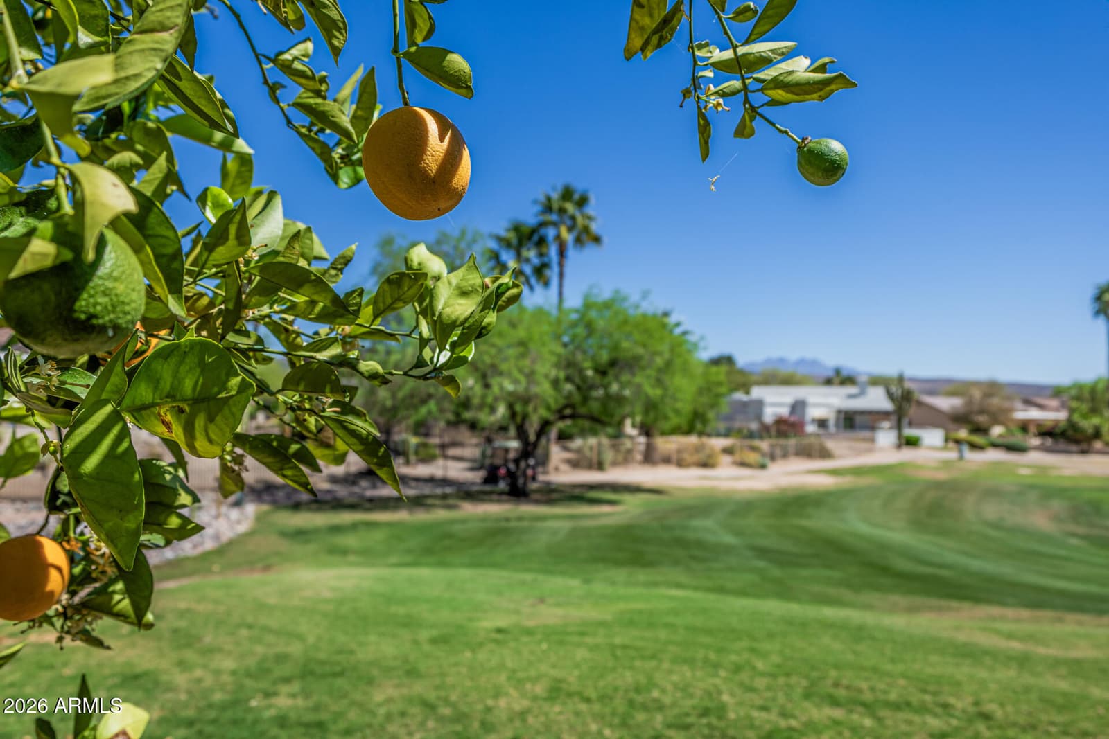25615 N Bolero Bend 5, Rio Verde, AZ 85263 — photo 33 of 53