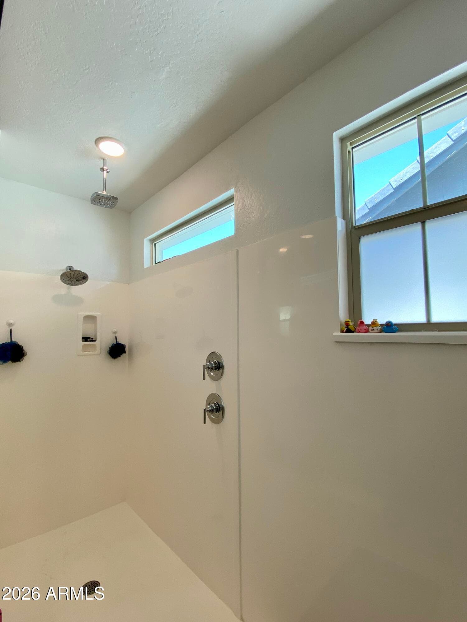 25364 S 225th Way, Queen Creek, AZ 85142 — photo 13 of 30