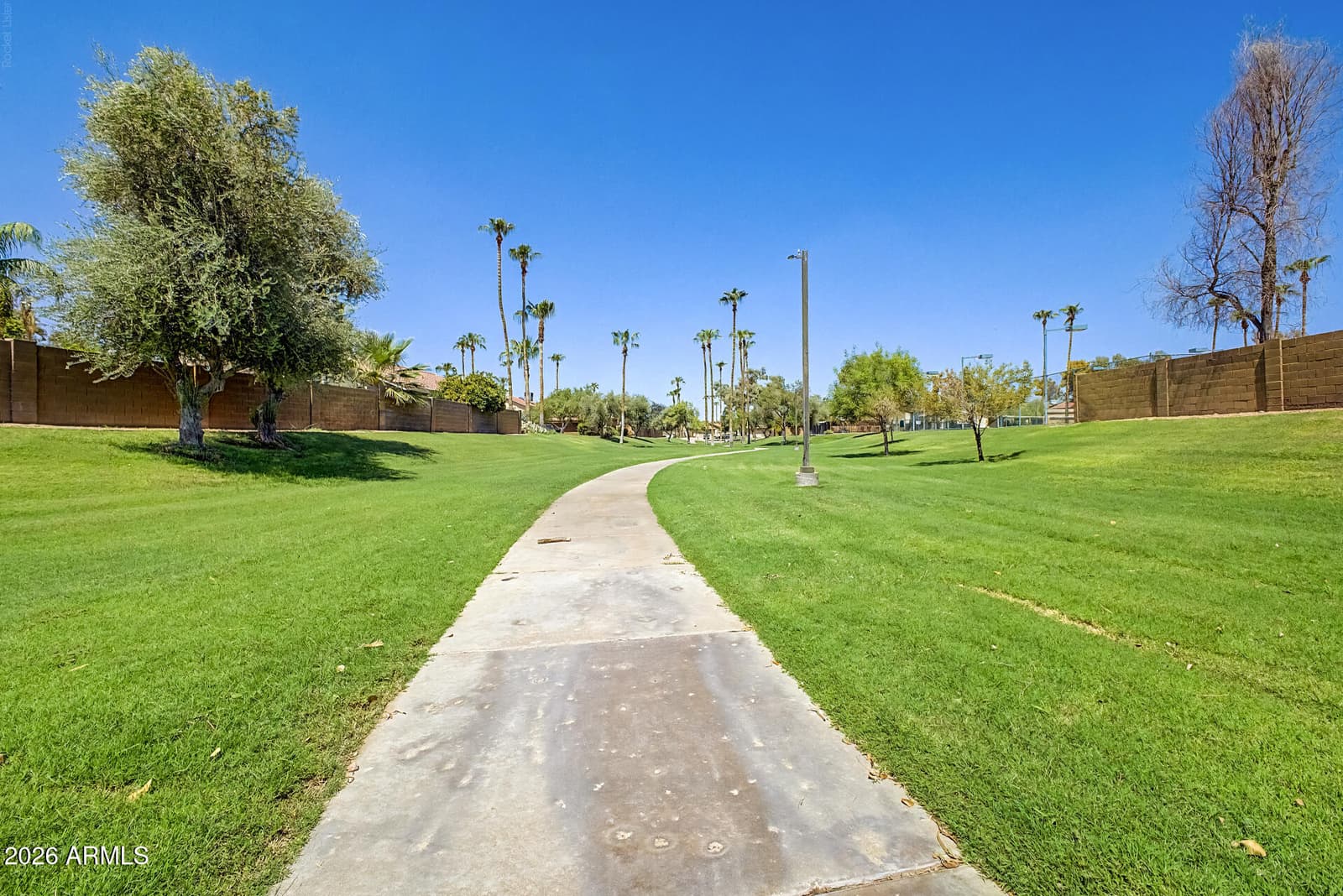 2394 W Park Avenue, Chandler, AZ 85224 — photo 31 of 39