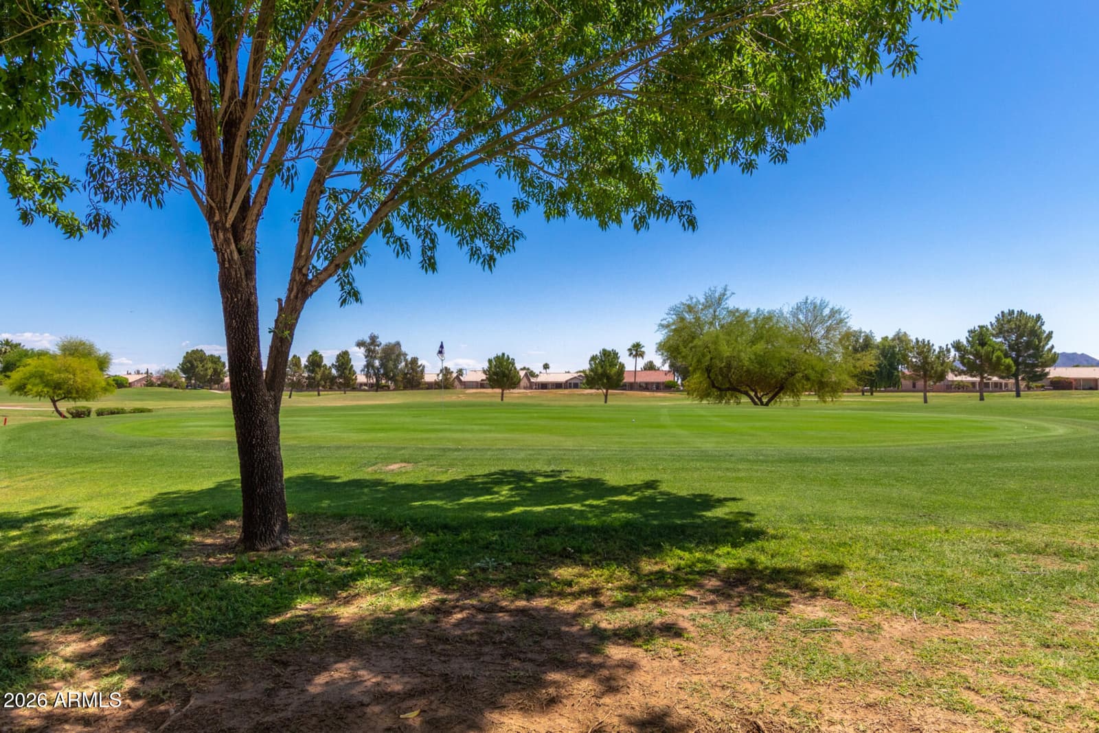 1423 E Indian Wells Drive, Chandler, AZ 85249 — photo 34 of 48