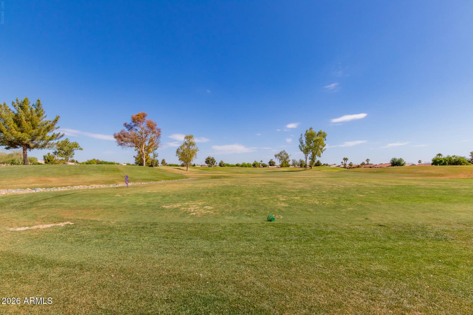 1423 E Indian Wells Drive, Chandler, AZ 85249 — photo 46 of 48