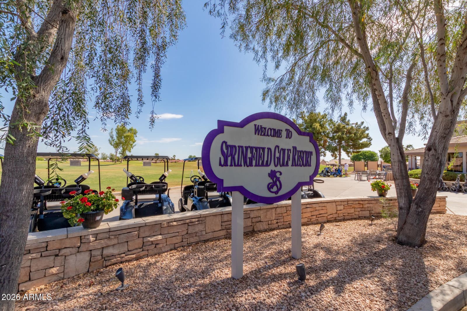 1423 E Indian Wells Drive, Chandler, AZ 85249 — photo 47 of 48