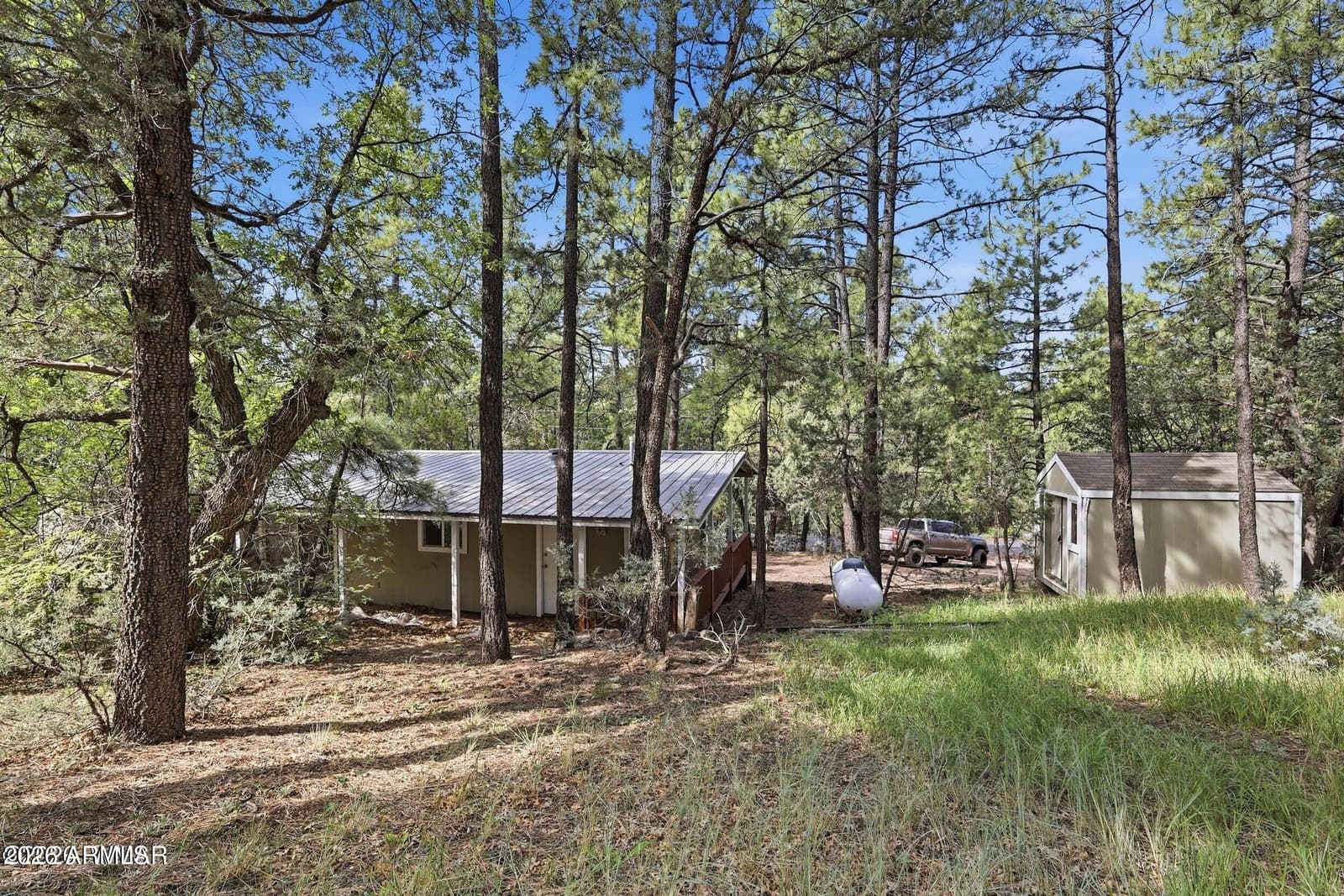 154 W Pine Shadow Drive, Lakeside, AZ 85929 — photo 24 of 29